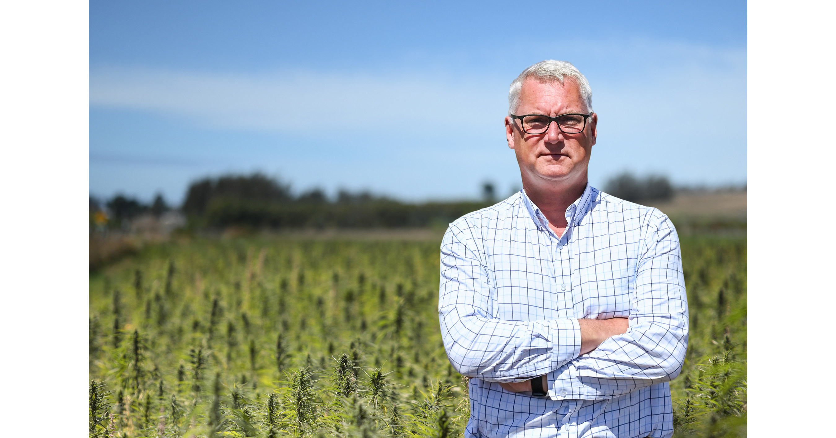 Hemp Farmers Face $7.5bn in Losses as Banks Struggle to Come to Terms with CBD_5d88d31a7e448.jpeg