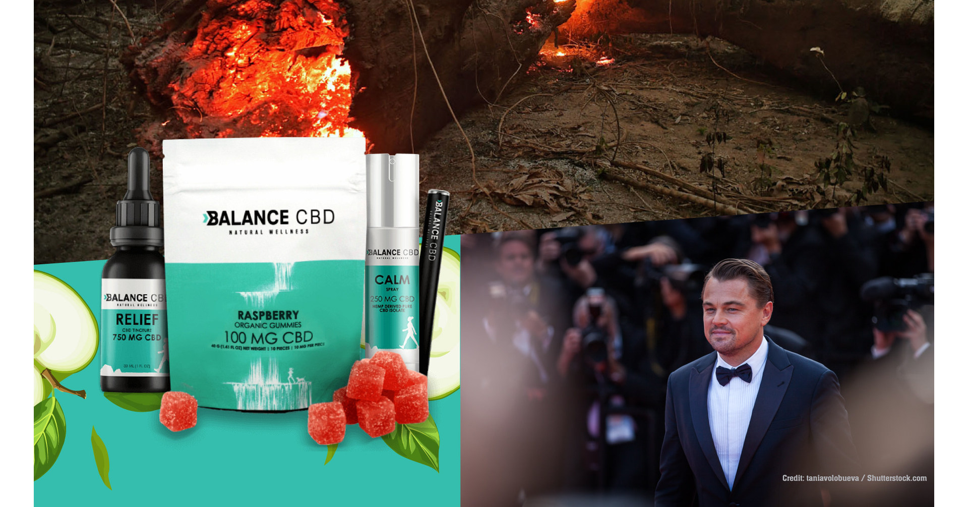 Leonardo DiCaprio’s Amazon Fund Boosted By Balance CBD Profits_5d827e543d4cf.jpeg