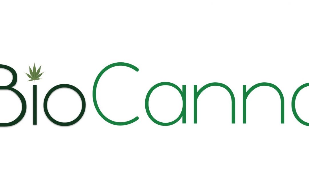 BioCanna Announces A Breakthrough In Development of Its Patent-Pending ‘BioNano Virus Detection System’ And Announcing the COVID-19 POC Test Kit