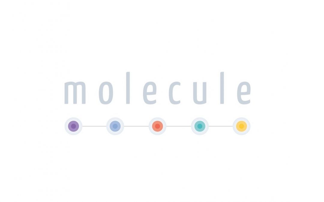Molecule Accepts Pricing Offer from Canada’s Largest Provincial Buyer for 11 New Craft Cannabis Beverages